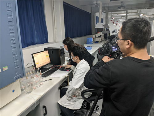 珠海铜合金与铅锡合金检测检验技术服务解析
