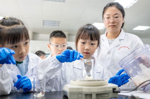 点赞基层科协亮点53丨科普一“夏”，乐不思“暑”——长兴县暑期科普不停课与检验检测服务纪实