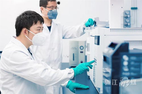 甜城舌尖守护者——解码内江食品药品安全与检验检测服务