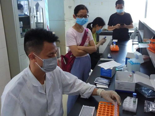 守护舌尖上的安全，古镇镇举办农产品检验检测机构开放日活动