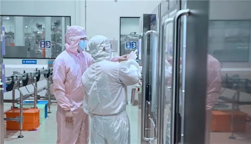 一次真正的新质变革 伊利金标打造乳业品质新标杆，检验检测服务铸就信任基石