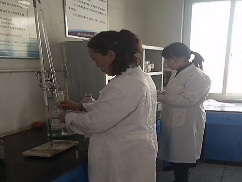 南乐县市场监管局强化检验检测服务，以产品质量护航企业复工复产